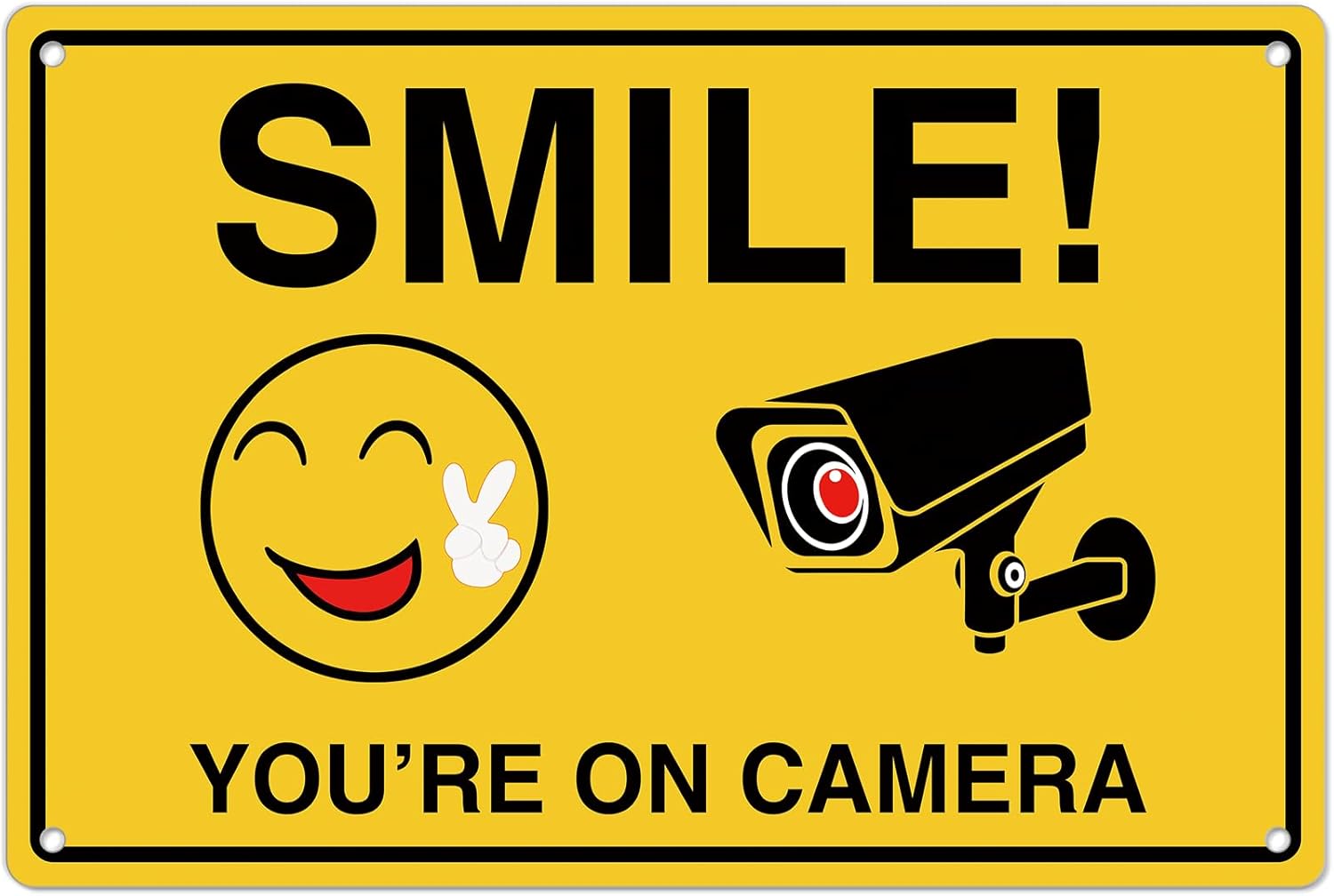 Home Security Items - Glimlach dat je op cameraborden; Roestvrij