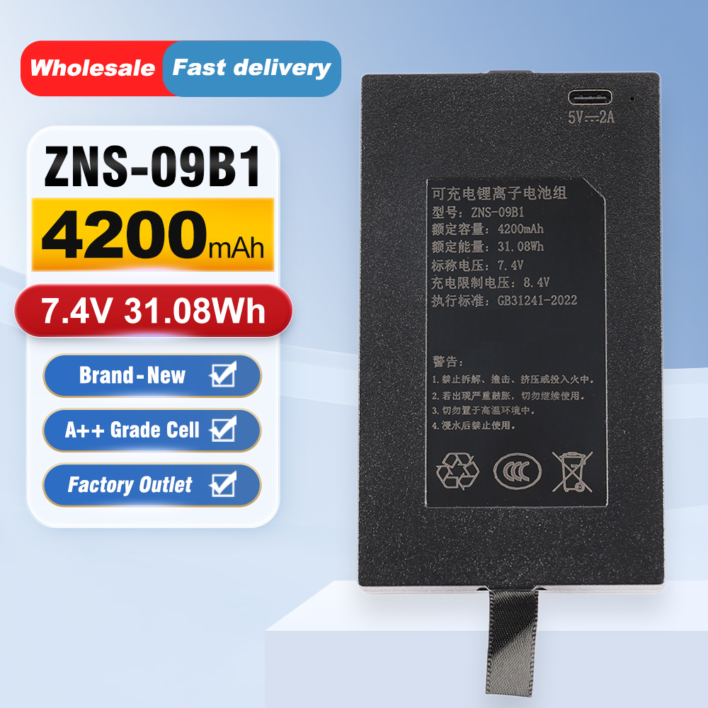 ZNS-09B1 4200mAh C+C- P-P+ ver - Home Security Battery Replacement recensie en prijs